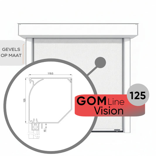 Screen GOMline Vision 125